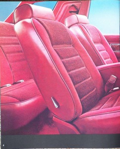 1983 Ford Fairmont Futura-06.jpg